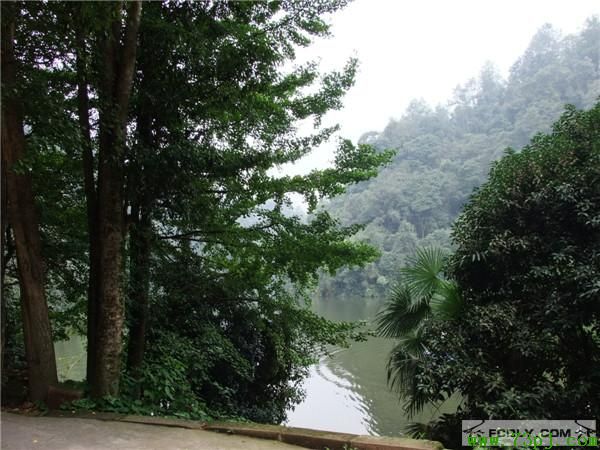 翡翠度假山庄