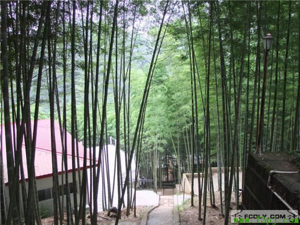 翡翠度假山庄