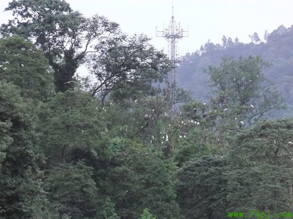 翡翠度假山庄