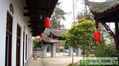 友助山寨