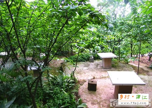 红桩园农家小院