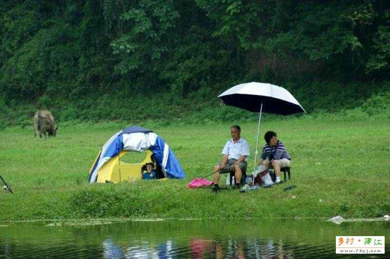 蒲江白云鹭鸶AA级旅游景区