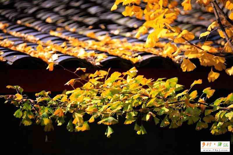 蒲江大佛寺