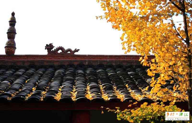蒲江大佛寺