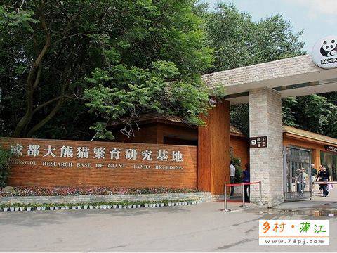 成都大熊猫基地门票