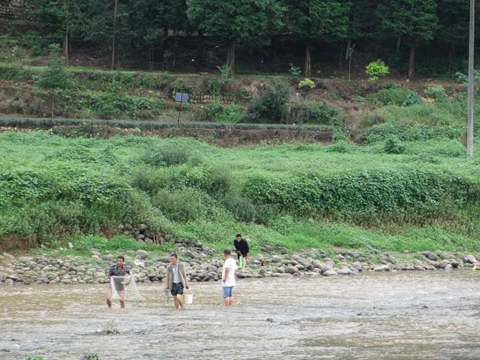 蒲江成佳长滩湖龙凤溪湿地