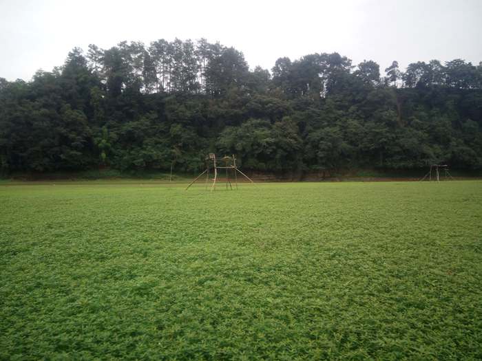 蒲江成佳长滩湖龙凤溪湿地