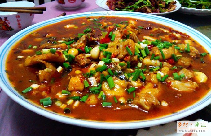 黄桷树
